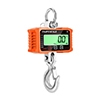 Industrial hanging crane scale