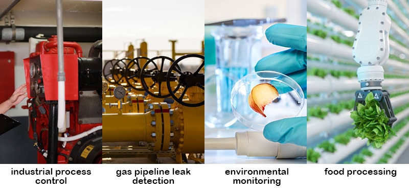 Gas mass flow meter application