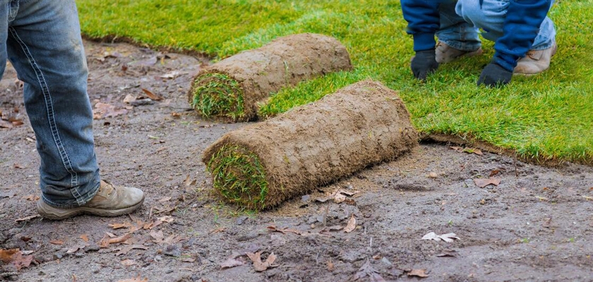 Laying the ground surface