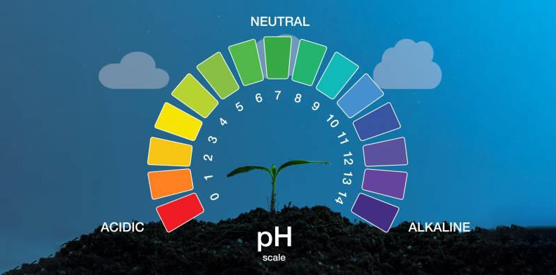 pH meter test range