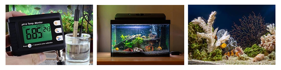 pH tester for aquarium application